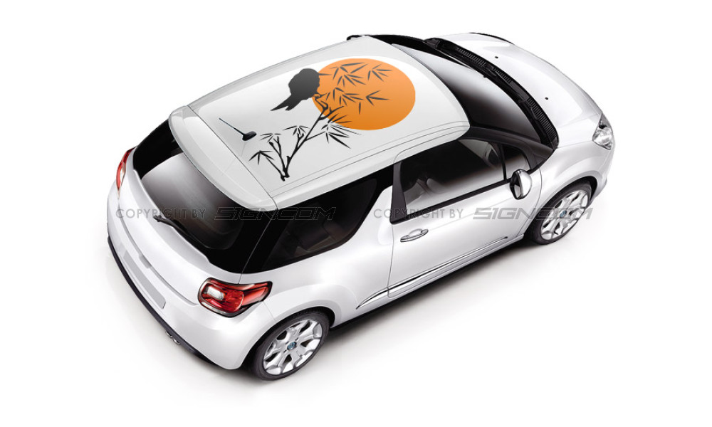 Auto Dachaufkleber 13