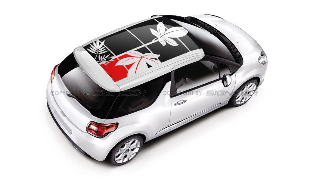 Auto Dachaufkleber 17