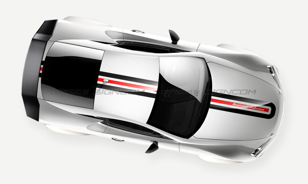 Rallystreifen, Viperstreifen Color 03 Limited Edition Set