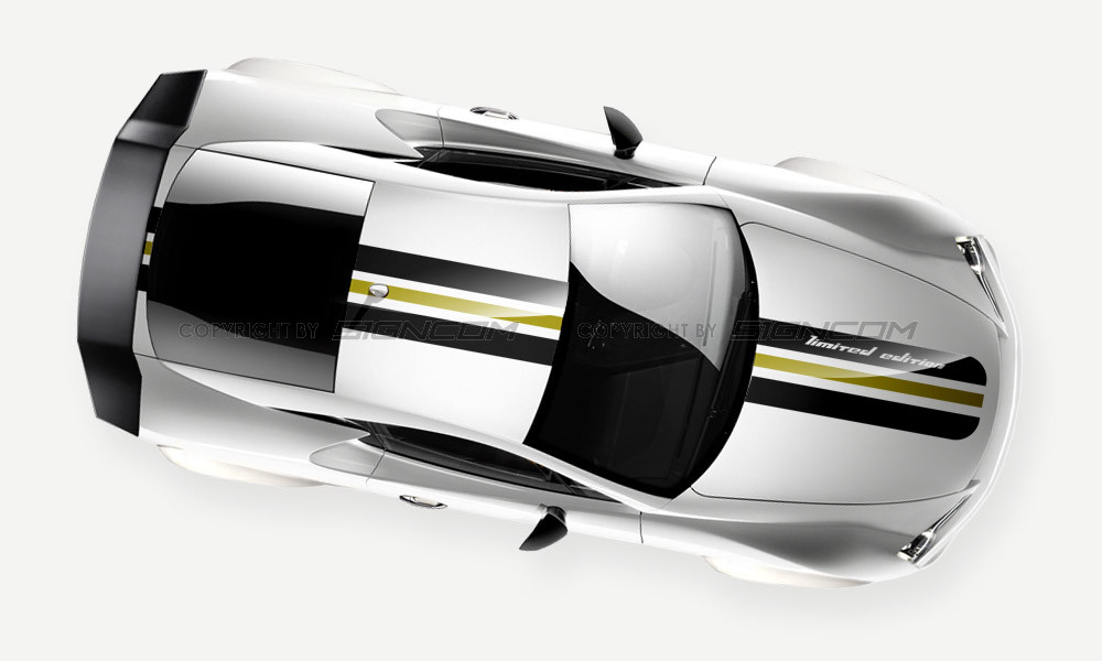 Rallystreifen, Viperstreifen Color 04 Limited Edition Set