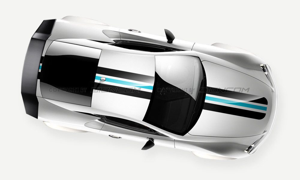 Rallystreifen, Viperstreifen Color 05 Set